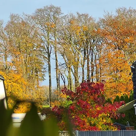 Grand Westfalia Osnabrueck 8 Personen 2 Baeder Wintergarten 4 E-bikes Feriehus